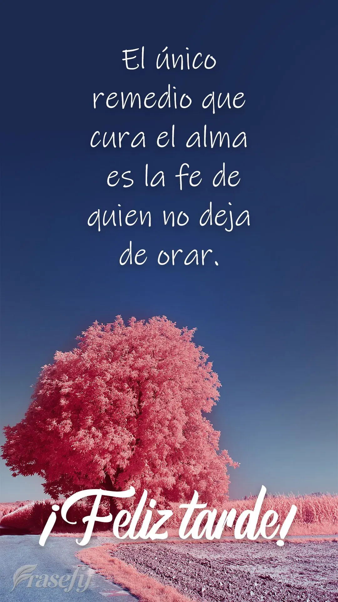 El único remedio que cura el alma es la fe de quien no deja de orar. ¡Feliz tarde!