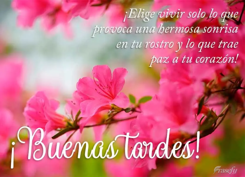 ¡Elige vivir solo lo que provoca una hermosa sonrisa en tu rostro y lo que trae paz a tu corazón! ¡Buenas tardes!