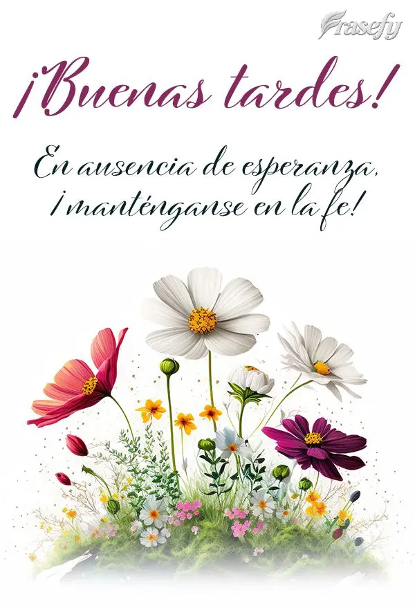 En ausencia de esperanza, ¡manténganse en la fe! ¡Buenas tardes!