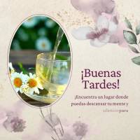 ¡Encuentra un lugar donde puedas descansar tu mente y disfrutar del silencio para lograr tu paz! ¡Buenas tardes!