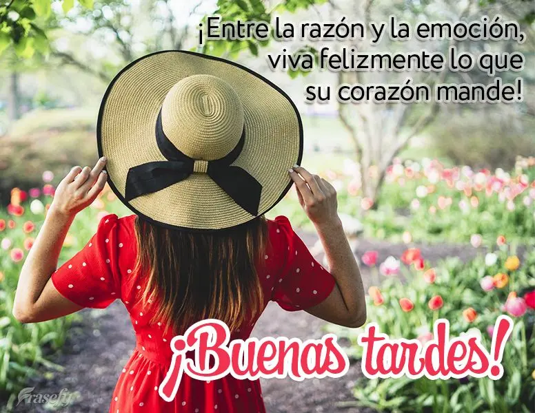 ¡Entre la razón y la emoción, viva felizmente lo que su corazón mande! ¡Buenas tardes!