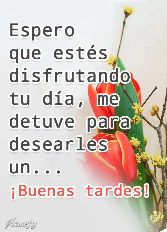 Espero que estés disfrutando tu día, me detuve para desearles un...  ¡Buenas tardes!
