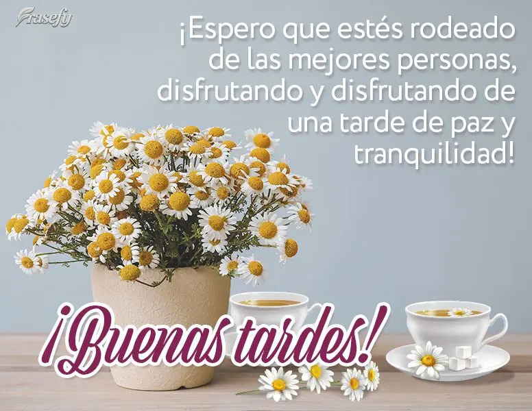 ¡Espero que estés rodeado de las mejores personas, disfrutando y aprendiendo de una tarde de paz y tranquilidad! ¡Buenas tardes!