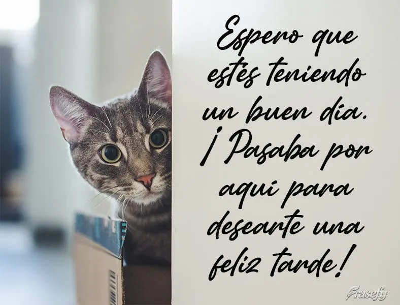 Espero que estés teniendo un buen día. ¡Pasaba por aquí para desearte una feliz tarde!