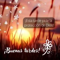 ¡Esta tarde pide la protección de Dios! ¡Buenas tardes!