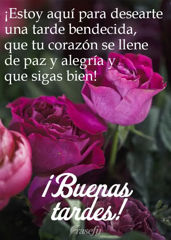 ¡Estoy aquí para desearte una tarde bendecida, que tu corazón se llene de paz y alegría y que sigas bien! ¡Buenas tardes!