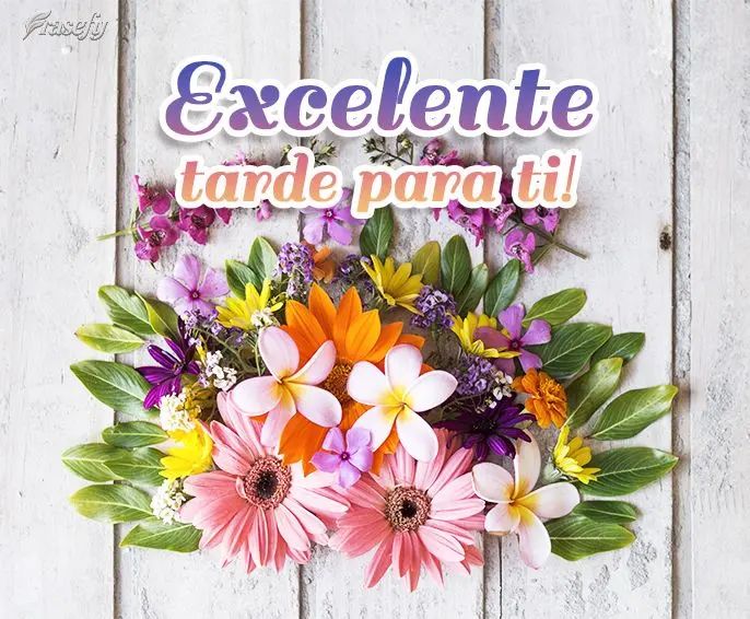 Excelente tarde para ti!