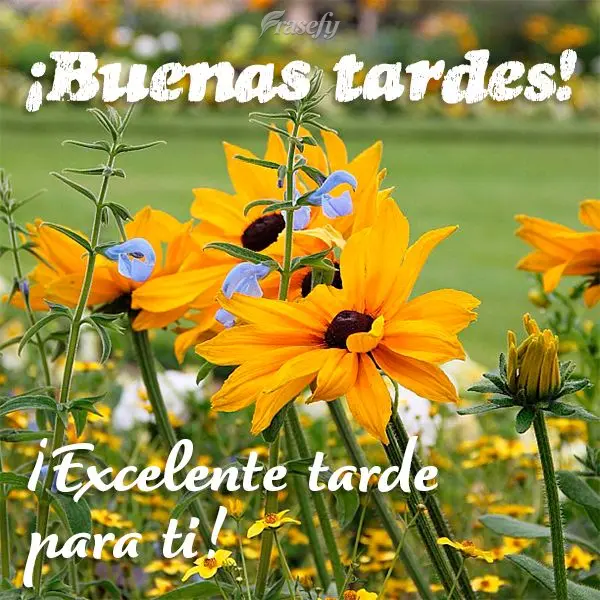 ¡Excelente tarde para ti! ¡Buenas tardes!