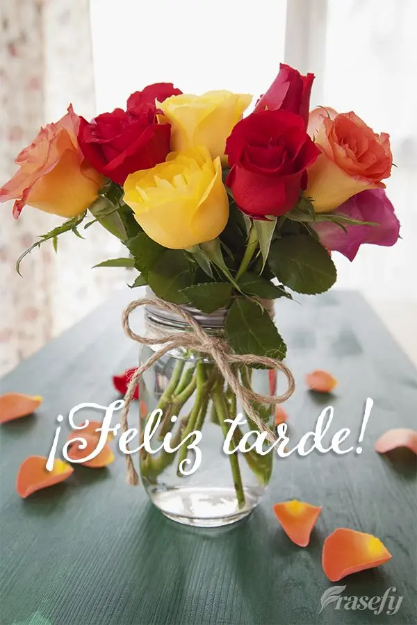 ¡Feliz tarde!