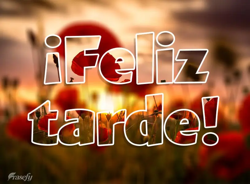 ¡Feliz tarde!