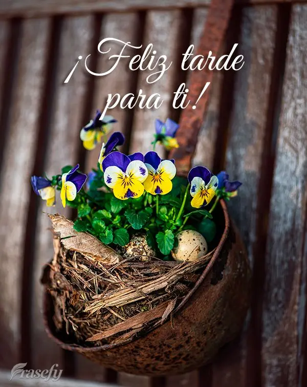 ¡Feliz tarde para ti!