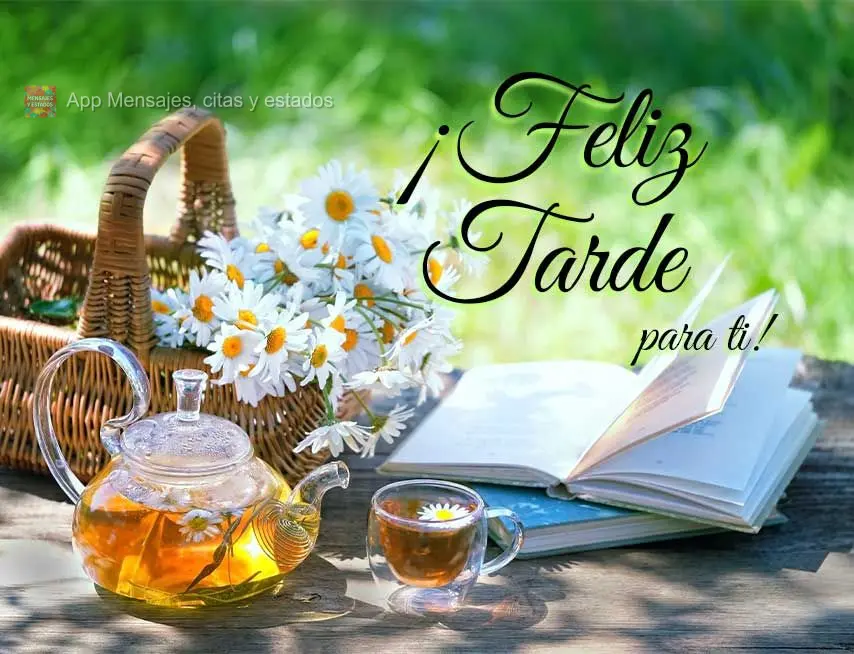¡Feliz tarde para ti!