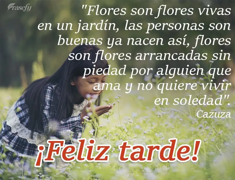 "Flores son flores vivas en un jardín, las personas son buenas ya nacen así,
flores son flores arrancadas sin piedad por alguien que ama y no quiere v...