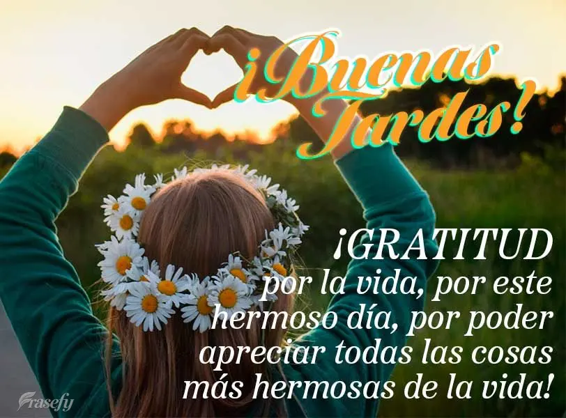 ¡Gratitud por la vida, por este hermoso día, por poder apreciar todas las cosas más hermosas de la vida! ¡Buenas tardes!