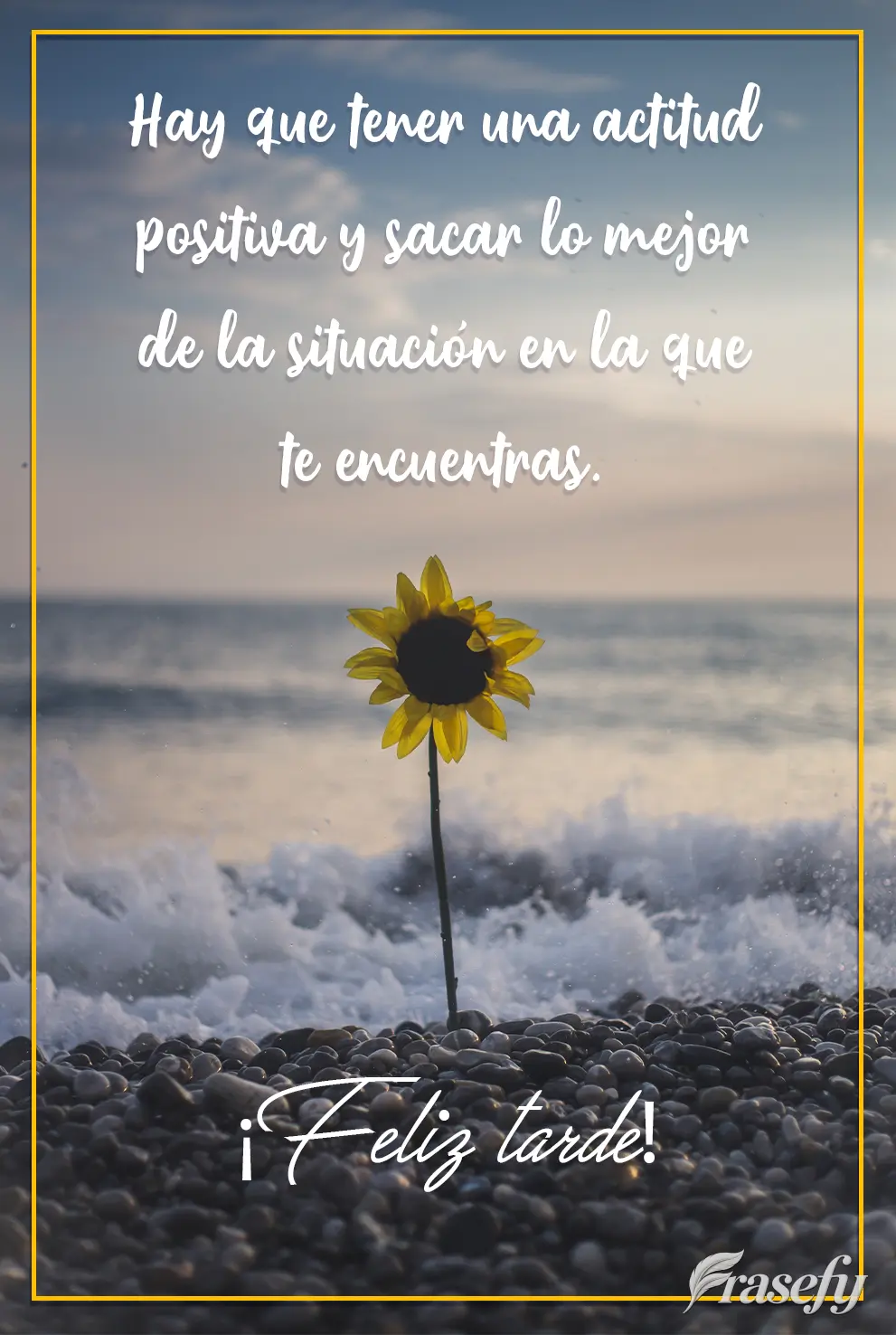 Hay que tener una actitud positiva y sacar lo mejor de la situación en la que te encuentras. ¡Feliz tarde!