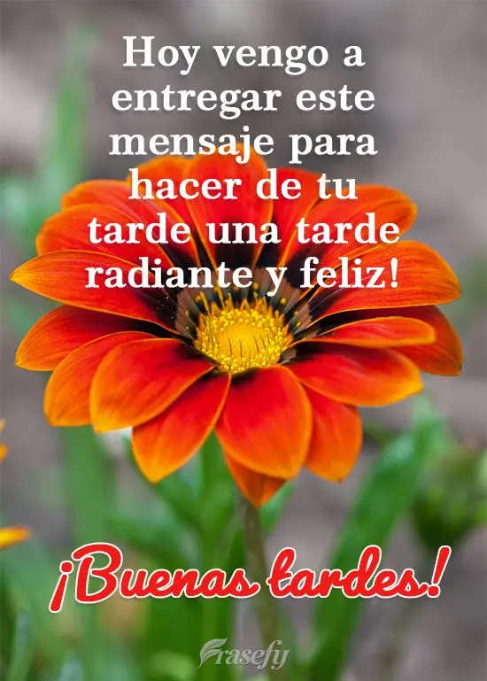 Hoy vengo a entregar este mensaje para hacer de tu tarde una tarde radiante y feliz! ¡Buenas tardes!