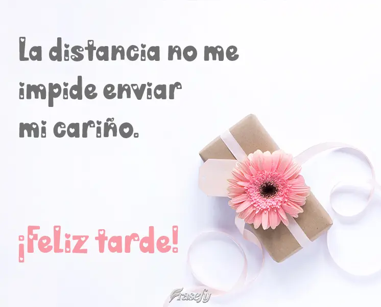 La distancia no me impide enviar mi cariño. ¡Feliz tarde!