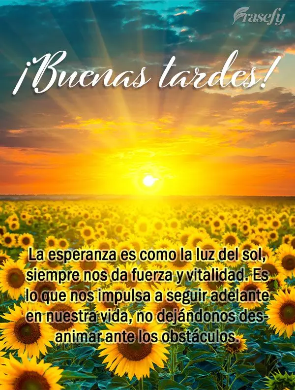 La esperanza es como la luz del sol, siempre nos da fuerza y ​​vitalidad. Es lo que nos impulsa a seguir adelante en nuestra vida, no dejándonos des...