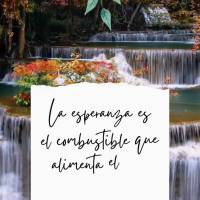 La esperanza es el combustible que alimenta el éxito. ¡Buenas tardes!