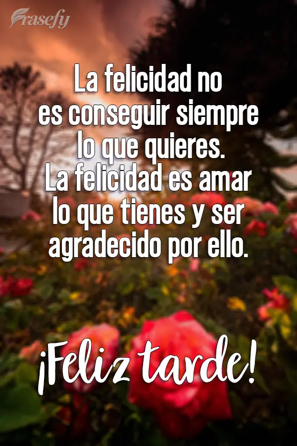 La felicidad no es conseguir siempre lo que quieres. La felicidad es amar lo que tienes y ser agradecido por ello. ¡Feliz tarde!