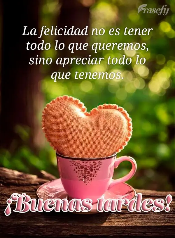 La felicidad no es tener todo lo que queremos, sino apreciar todo lo que tenemos. ¡Buenas tardes!