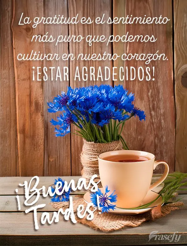 La gratitud es el sentimiento más puro que podemos cultivar en nuestro corazón. ¡Estar agradecidos! ¡Buenas tardes!