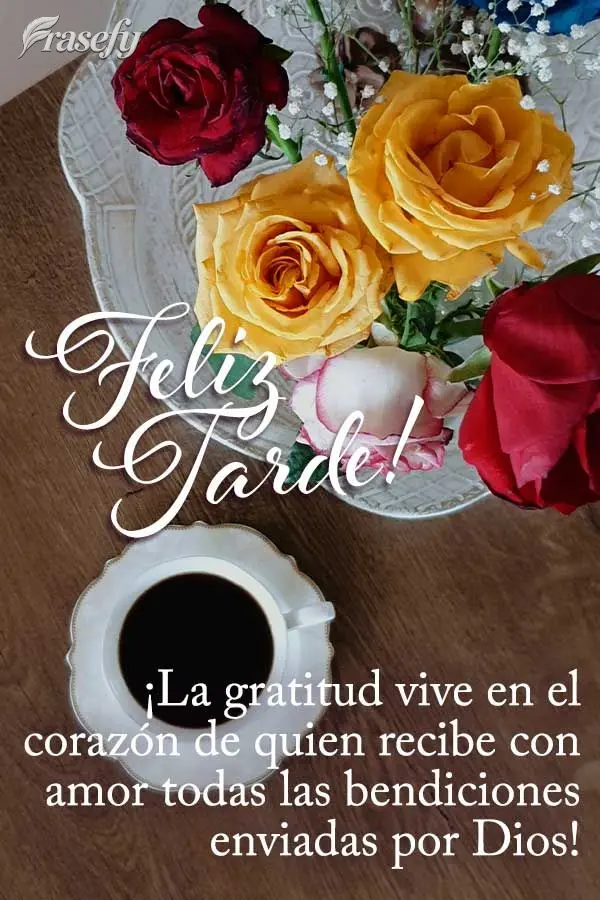¡La gratitud vive en el corazón de quien recibe con amor todas las bendiciones enviadas por Dios! ¡Feliz tarde!