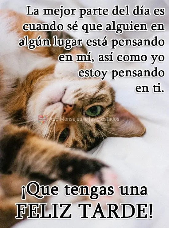 La mejor parte del día es cuando sé que alguien en algún lugar está pensando en mí, así como yo estoy pensando en ti. ¡Que tengas una feliz tarde!...