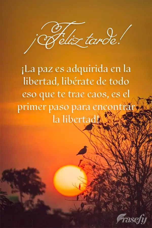 ¡La paz es adquirida en la libertad, libérate de todo eso que te trae caos, es el primer paso para encontrar la libertad! ¡Feliz tarde!