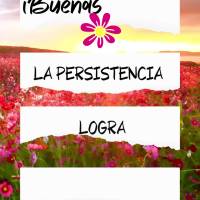 La persistencia logra lo imposible. ¡Buenas tardes!