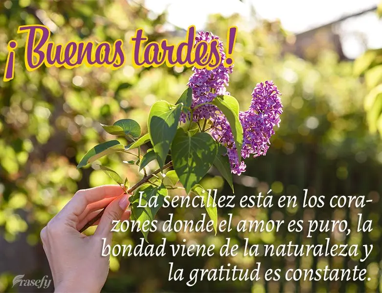 La sencillez está en los corazones donde el amor es puro, la bondad viene de la naturaleza y la gratitud es constante. ¡Buenas tardes!