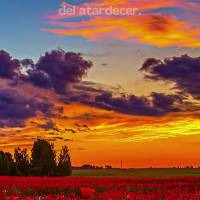La tarde llega con su calma invitándome a disfrutar del hermoso espectáculo del atardecer. ¡Buenas tardes!