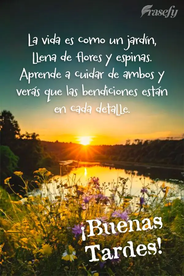 La vida es como un jardín, llena de flores y espinas. Aprende a cuidar de ambos y verás que las bendiciones están en cada detalle. ¡Buenas tardes!