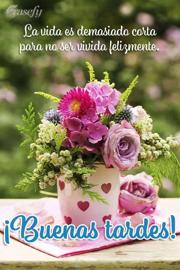 La vida es demasiado corta para no ser vivida felizmente. ¡Buenas tardes!