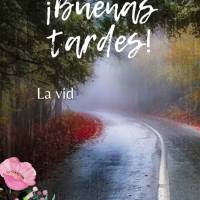 La vida es preciosa. Sé agradecido por cada día que tienes para lograr grandes cosas. ¡Buenas tardes!