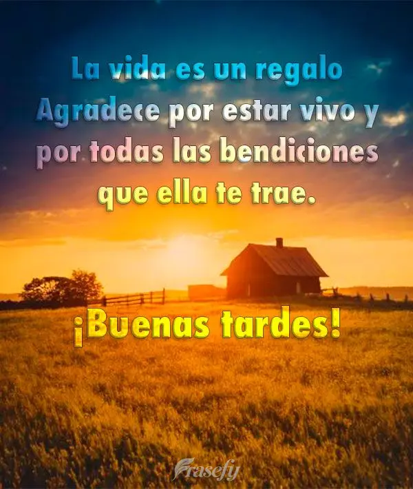 La vida es un regalo Agradece por estar vivo y por todas las bendiciones que ella te trae. ¡Buenas tardes!