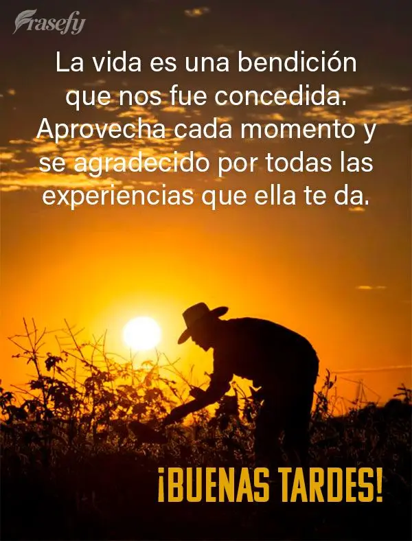 La vida es una bendición que nos fue concedida. Aprovecha cada momento y se agradecido por todas las experiencias que ella te da. ¡Buenas tardes!