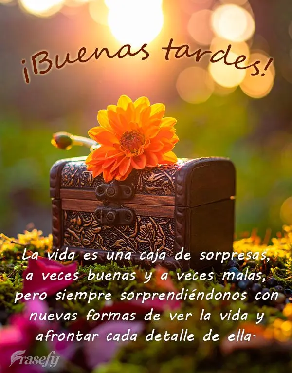 La vida es una caja de sorpresas, a veces buenas y a veces malas, pero siempre sorprendiéndonos con nuevas formas de ver la vida y afrontar cada detalle...