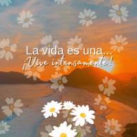 ¡Buenas tardes! La vida es una... ¡Vive intensamente! ¡Buenas tardes!