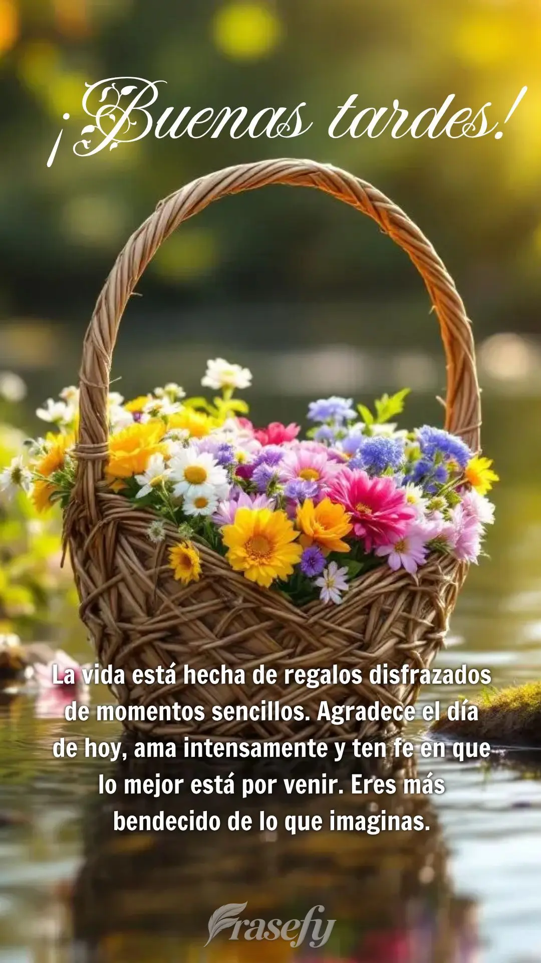 La vida está hecha de regalos disfrazados de momentos sencillos. Agradece el día de hoy, ama intensamente y ten fe en que lo mejor está por venir. Ere...