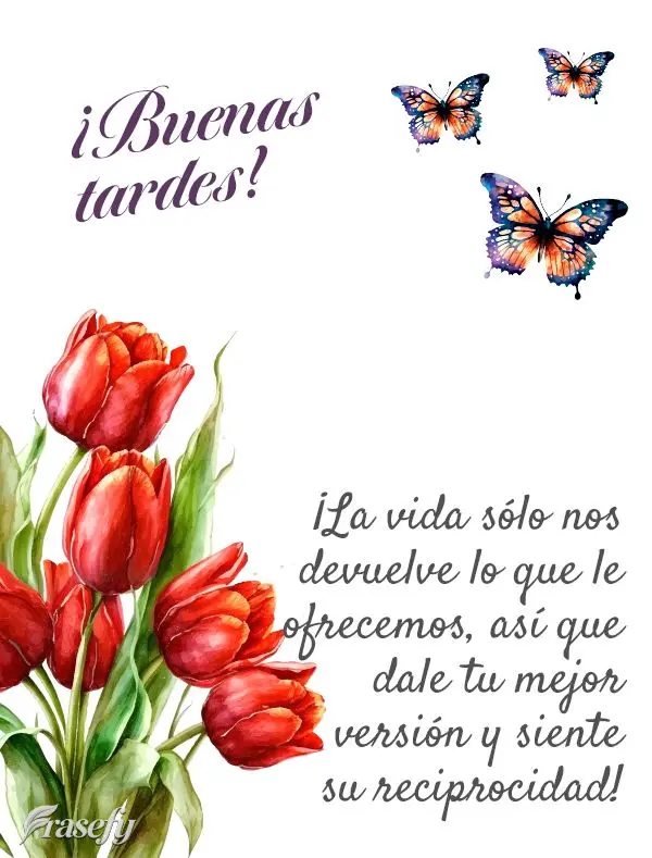 ¡La vida sólo nos devuelve lo que le ofrecemos, así que dale tu mejor versión y siente su reciprocidad! ¡Buenas tardes!  