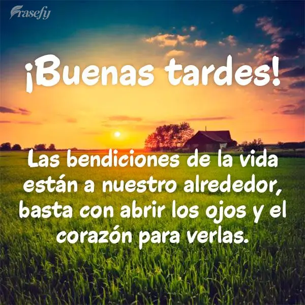 Las bendiciones de la vida están a nuestro alrededor, basta con abrir los ojos y el corazón para verlas. ¡Buenas tardes!