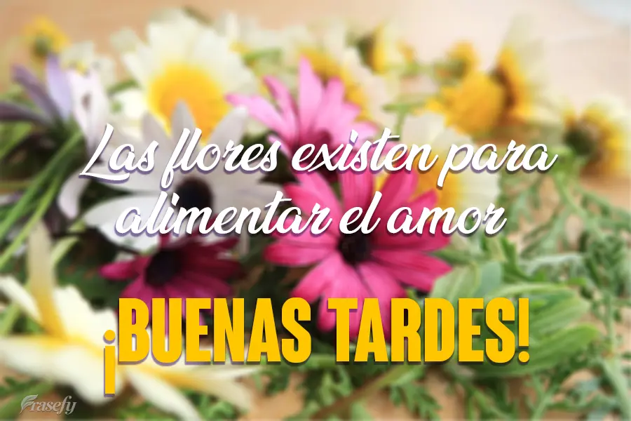 Las flores existen para alimentar el amor. ¡Buenas tardes!