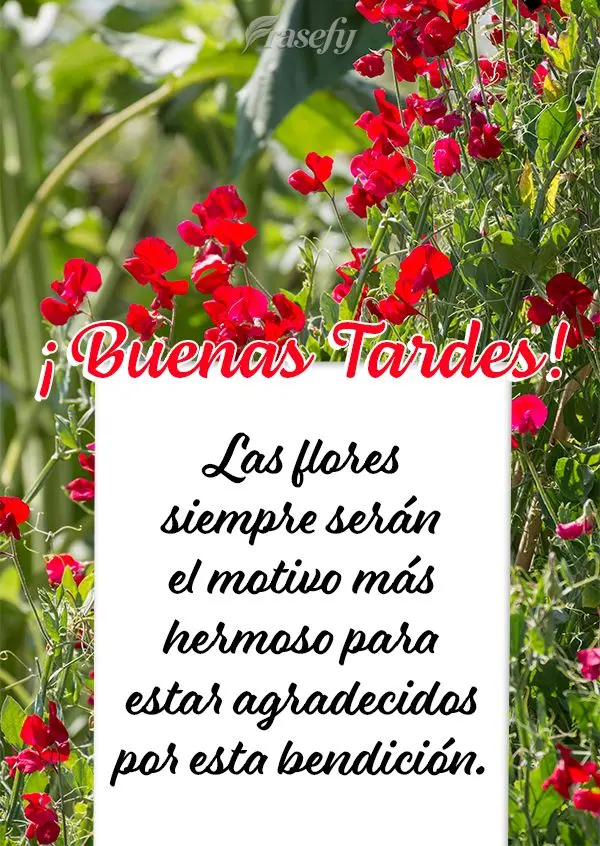 Las flores siempre serán el motivo más hermoso para estar agradecidos por esta bendición. ¡Buenas tardes!