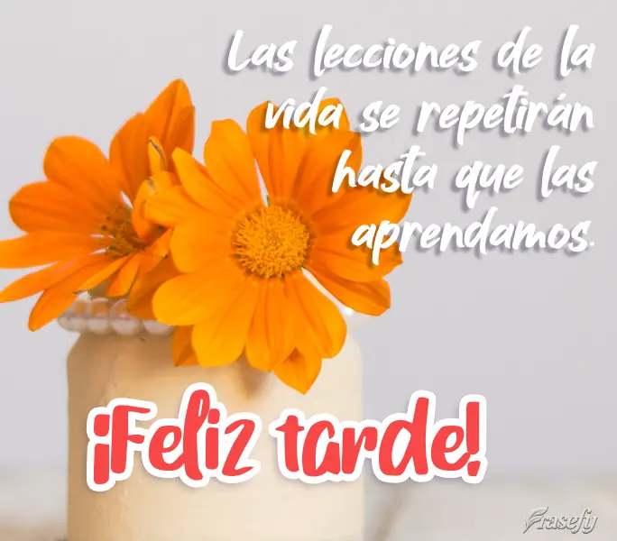 Las lecciones de la vida se repetirán hasta que las aprendamos. ¡Feliz tarde!