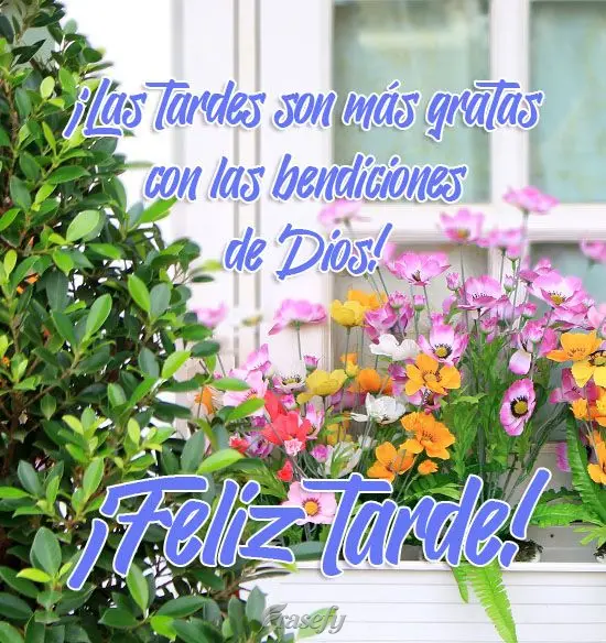 ¡Las tardes son más gratas con las bendiciones de Dios! ¡Feliz tarde!