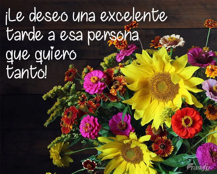 ¡Le deseo una excelente tarde a esa persona que quiero tanto!
