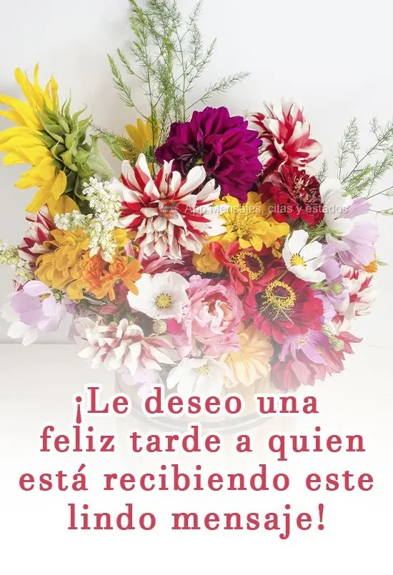 ¡Le deseo una feliz tarde a quien está recibiendo este lindo mensaje!
