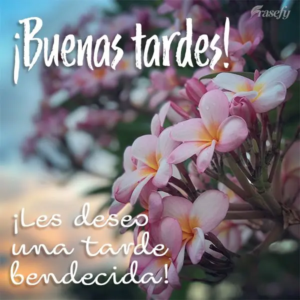 ¡Les deseo una tarde bendecida! ¡Buenas tardes!
