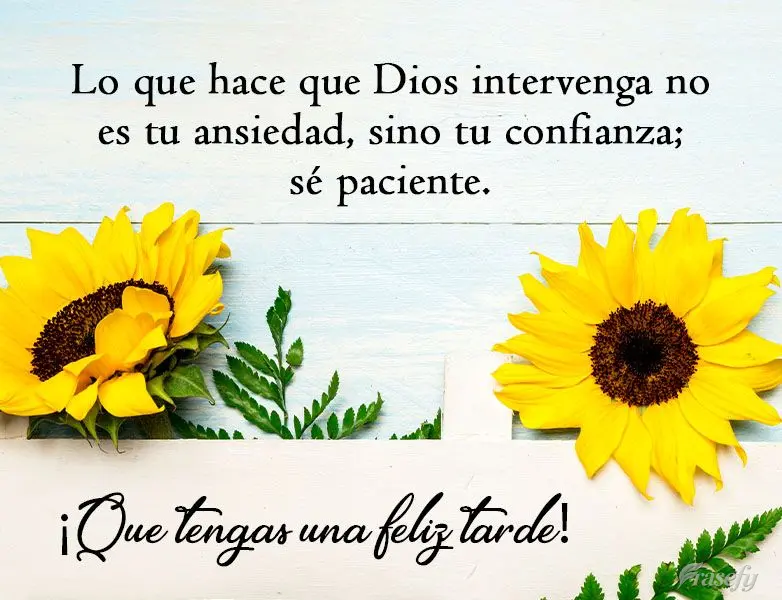 Lo que hace que Dios intervenga no es tu ansiedad, sino tu confianza; sé paciente. ¡Que tengas una feliz tarde!